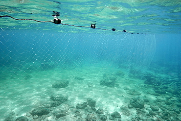 Drift net in shallow water, Negros Island, Philippines, Visayan Sea, Southeast Asia, Asia