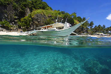 Banka and sandy seafloor, Apo Island Marine Reserve, Philippines, Southeast Asia, Asia