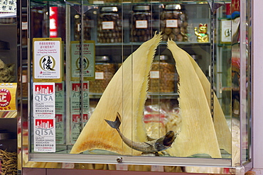 Dried shark fins for sale in traditional chinese medicine store, Hong Kong, China, Asia