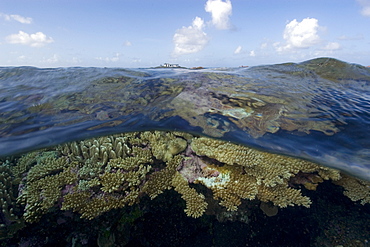 Split image of pristine coral reef and sky, Rongelap, Marshall Islands, Micronesia, Pacific