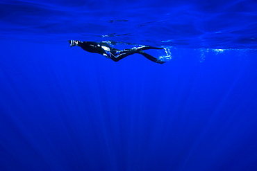 Free diver, St. Peter and St. Paul's rocks, Brazil, South America