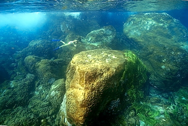 Snorkeller dives down to observe the substrate, St. Peter and St. Paul's rocks, Brazil, South America