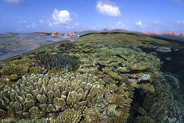 Split image of pristine coral reef and  sky, Rongelap, Marshall Islands, Micronesia, Pacific