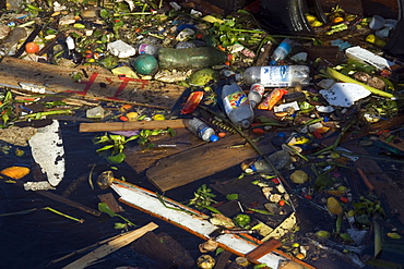 Rubbish floating in Negro River, Port of Manaus, Amazonas, Brazil, South America