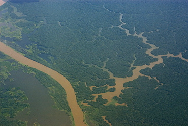 Aerial view of flooded tropical rain forest, Amazonas, Brazil, South America