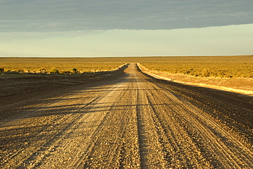 Rupio road at Peninsula Valdez, Patagonia, Argentina, South America