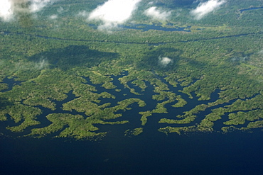 Aerial view of flooded tropical rain forest, Amazonas, Brazil, South America