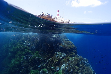 Split image of rocks, lighthouse and underwater substrate,  St. Peter and St. Paul's rocks, Brazil, South America