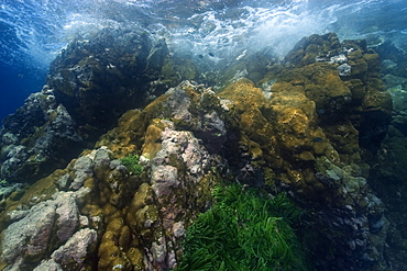 Underwater substrate, St. Peter and St. Paul's rocks, Brazil, South America