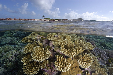 Split image of pristine coral reef and sky, Rongelap, Marshall Islands, Micronesia, Pacific