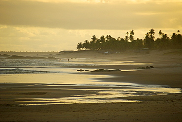 Sunset at the beach, Costa do Sauipe, Bahia, Brazil, South America