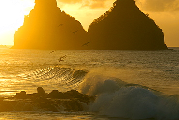 Boobies feeding at dusk and Dois Irmaos, Fernando de Noronha national marine sanctuary, UNESCO World Heritage Site, Pernambuco, Brazil, South America