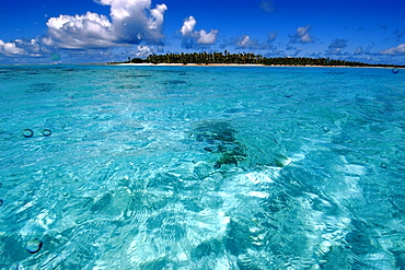 Uninhabited island and turquoise lagoon, Ailuk atoll, Marshall Islands, Pacific