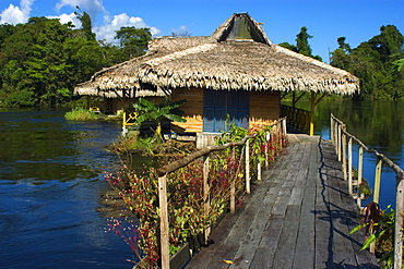 Uakari Floating Lodge, Mamiraua sustainable development reserve, Amazonas, Brazil, South America