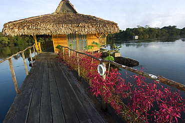 Uakari Floating Lodge, Mamiraua sustainable development reserve, Amazonas, Brazil, South America