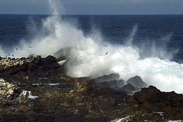 Wave crashing over rocks,  St. Peter and St. Paul's rocks, Brazil, South America