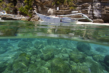 Banka and sandy seafloor, Apo Island Marine Reserve, Philippines, Southeast Asia, Asia