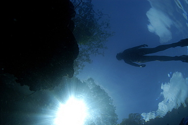 Diver silhouette on Rock Island lagoon, Palau, Caroline Islands, Micronesia, Pacific Ocean, Pacific