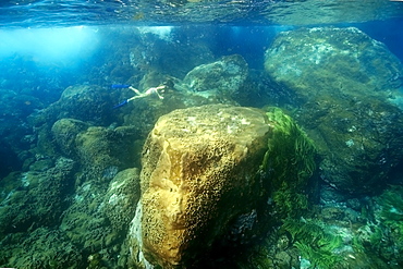 Snorkeller dives down to observe the substrate, St. Peter and St. Paul's rocks, Brazil, South America