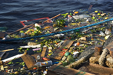 Rubbish floating in Negro river, Port of Manaus, Amazonas, Brazil, South America