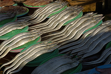 Largehead hairtail (Trichiurus lepturus), Jagalshi fish market, Busan, South Korea, Asia