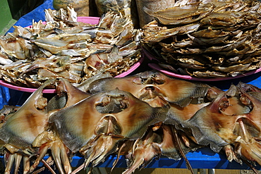 Dried stingrays and fish for sale at a seafood market  near Yeongjongdo pier, Incheon, Gyeonggi-Do, South Korea, Asia