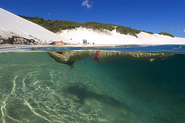 Woman relaxes in a natural rain water pool, Lencois Maranhenses, Maranhao, Brazil, South America