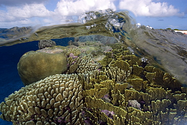 Split image of pristine coral reef and sky, Rongelap, Marshall Islands, Micronesia, Pacific