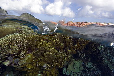 Split image of pristine coral reef and sky, Rongelap, Marshall Islands, Micronesia, Pacific