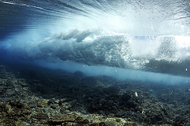 Wave breaking on reef, seen from below the surface, Palikir Pass, Pohnpei, Federated States of Micronesia, Caroline Islands, Micronesia, Pacific Ocean, Pacific