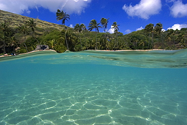 Split image of sandy substrate and beach, Hanauma Bay, Oahu, Hawaii, United States of America, Pacific