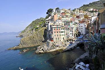 Colorful houses on cliffs, Riomaggiore, Cinque Terre, UNESCO World Heritage Site, Liguria, Italy, Europe