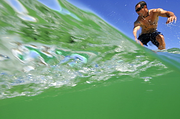 Local surfer catches wave in Kailua beach, East Oahu, Hawaii, United States of America, Pacific