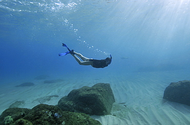 Female snorkeller explores the underwater landscape at Waimea Bay, North Shore, Oahu, Hawaii, United States of America, North America