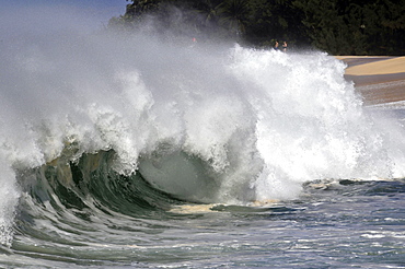 Waves crashing at Banzai Pipeline, Ehukai Beach Park, Oahu, Hawaii, United States of America, Pacific