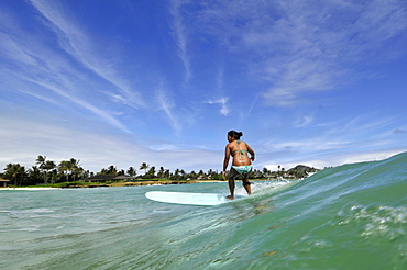 Local surfer catches wave in Kailua Beach, East Oahu, Hawaii, United States of America, Pacific