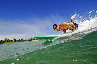 Local surfer catches wave in Kailua Beach, East Oahu, Hawaii, United States of America, Pacific