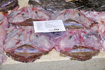 Fresh monkfish (angler) (grdobina) (Lophius piscatorius) for sale at the local morning fish market (Peskarija), Split, Croatia, Europe