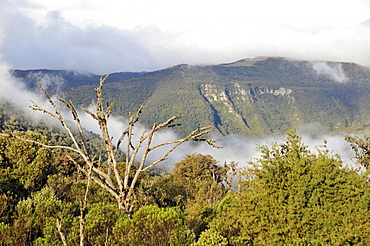 Clouds flow into Sao Joaquim National Park, Morro da Pedra Furada, Santa Catarina, Brazil, South America