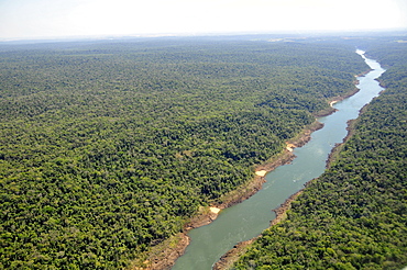 Forest surrounding Iguassu River which divides Brazil and Argentina, South America