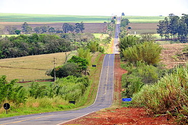 Raposo Tavares road, Sao Paulo, Brazil, South America