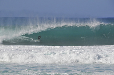 Surfer riding famous barrel waves, Oahu, Hawaii, United States of America, Pacific