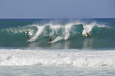 Surfers riding famous barrel waves, Oahu, Hawaii, United States of America, Pacific