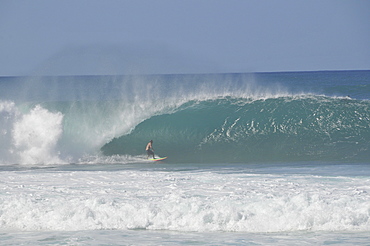 Surfer riding famous barrel waves, Oahu, Hawaii, United States of America, Pacific