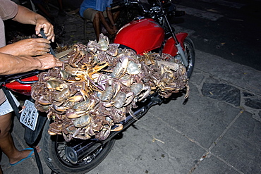 Wild crabs captured for the local market, Parnaiba, Piaui, Brazil, South America