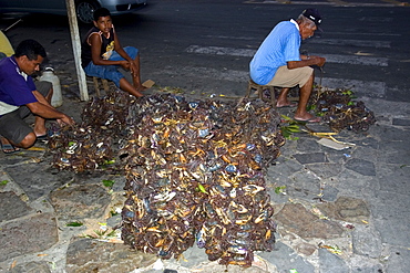 Wild crabs captured for the local market, Parnaiba, Piaui, Brazil, South America