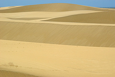 Sand dunes from Pequenos Lencois Maranhenses, between the ocean and Preguicas river, Barreirinhas, Maranhao, Brazil, South America