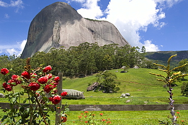 Flowers and natural rock, Pedra Azul, Espirito Santo, Brazil, South America