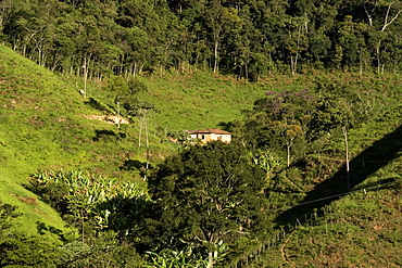 Valley seen from dirt road to Visconde do Rio Branco, Minas Gerais, Brazil, South America