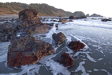 Rocky tide pools and sea shore at Lone Ranch Beach, Oregon, United States of America, North America